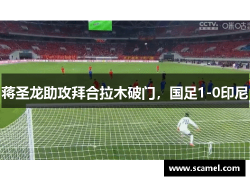 蒋圣龙助攻拜合拉木破门，国足1-0印尼